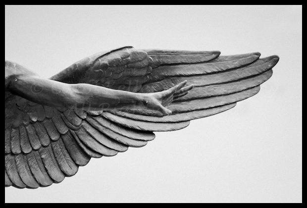 Spiritualized Life Fly Away, Memorial Park, Jacksonville, Florida