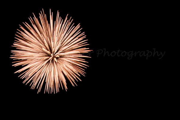 fineartphotography_FireworksBurst_9777