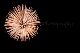 fineartphotography_FireworksBurst_9777